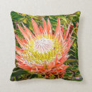 Search for protea cushions Australia