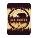Search for backpacker magnets Adventure