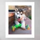 Search for eye mask posters Dog