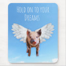 Search for pigs with wings electronics Funny