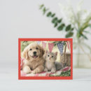 Search for dog flag postcards Fourth of july