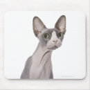 Search for surprising mouse mats Cat