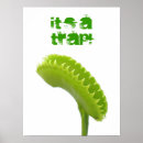 Search for trap posters Venus