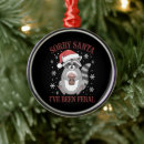 Search for racoon christmas tree decorations Santa