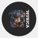 Search for murica stickers Stars forever