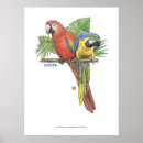 Search for gold macaw posters Watercolor