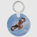 Search for kite key rings Wildlife