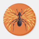 Search for entomology magnets Insect