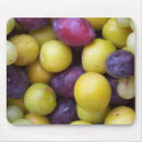 Search for autumn fruits electronics Green