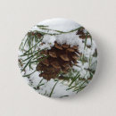 Search for cones badges Pine