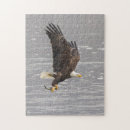 Search for american bald eagle puzzles Nature