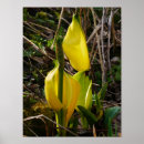 Search for skunks posters Flowers