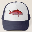 Search for white snapper Fish