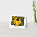 Search for daisy blank cards Thinking of you