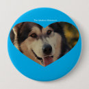 Search for malamute badges Pet