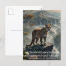 Search for wildcat postcards Animals