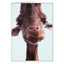 Search for giraffe face postcards Close up