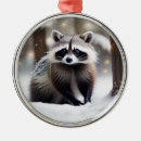 Search for raccoon christmas tree decorations Wildlife