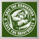 Search for save the rainforest posters Conservation