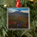 Search for dirt christmas tree decorations Landscape