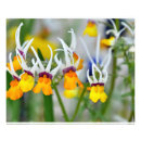 Search for miniature posters White