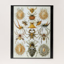 Search for illustration puzzles Vintage