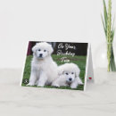 Search for twins birthday cards Dog