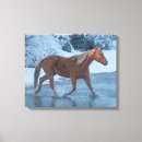 Search for driving canvas prints Farm