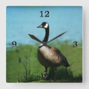 Search for goose clocks Gander