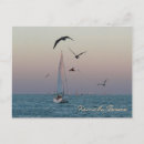 Search for bird horizontal postcards Texas