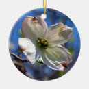 Search for virginia christmas tree decorations Bloom