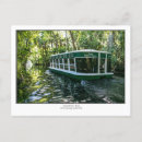 Search for top or bottom postcards Florida