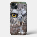Search for owl pics cases Birds of prey