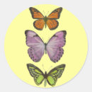 Search for triple stickers Three