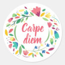 Search for carp stickers Nature