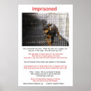 Search for breeding posters Dogs