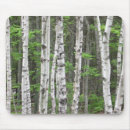 Search for tree trunks mouse mats Birch