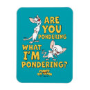 Search for 90s cartoon magnets Pinky and the brain