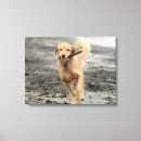Search for stick canvas prints Dog