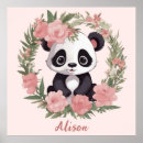 Search for panda photography Adorable