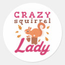 Search for crazy squirrels Animal