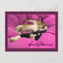 Search for animal charity cards Cat