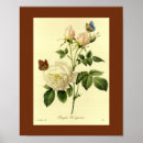 Search for florists posters Botanical