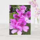 Search for geraniums cards Photography