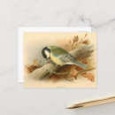 Search for aves postcards Biology