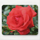 Search for droplet mouse mats Botanical