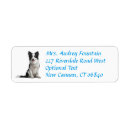 Search for border collie return address labels Puppy