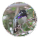 Search for hummingbird knobs and pulls Animal