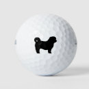 Search for shih tzu golf equipment Pets