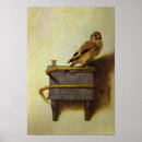 Search for bird nerd posters Book lover